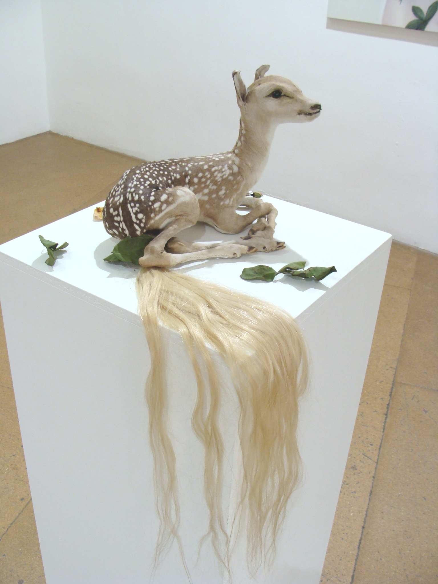 exhibitions teijihayama